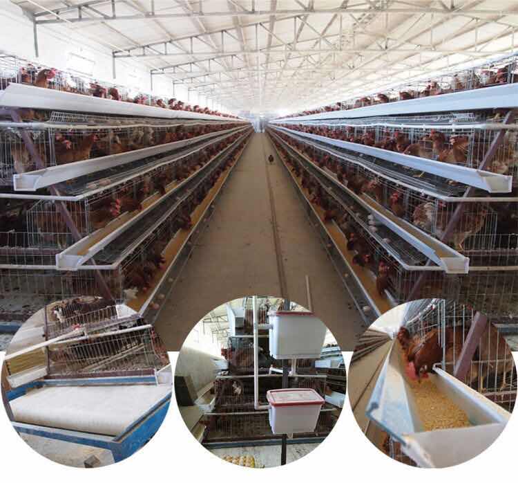 3 Layersales uganda poultry farm automatic chicken cage  hot galvanized 20 years lifetime  with Auto water system