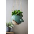 Bluebird Hanging Planter Pot