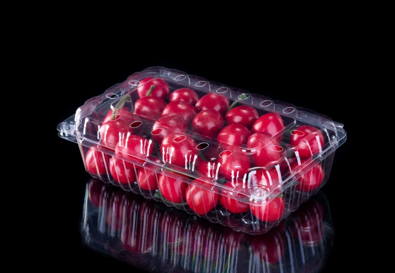 Embalagem de plástico descartável Fruit Clamshell para loja
