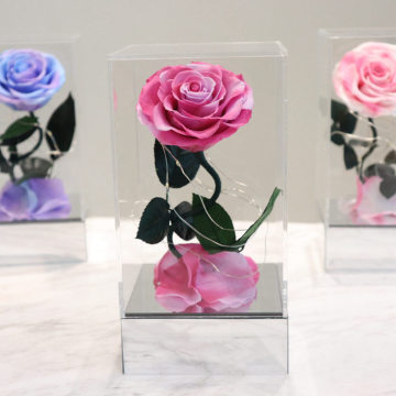 Eternal Preserve Flowers Acrylic Jewelry Box - Immortal Preserved Rose 'I Love U' Stem