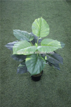 brand name artificial bonsai plants artificial wild taro bonsai decor