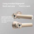 US standard lever fingerprint lock