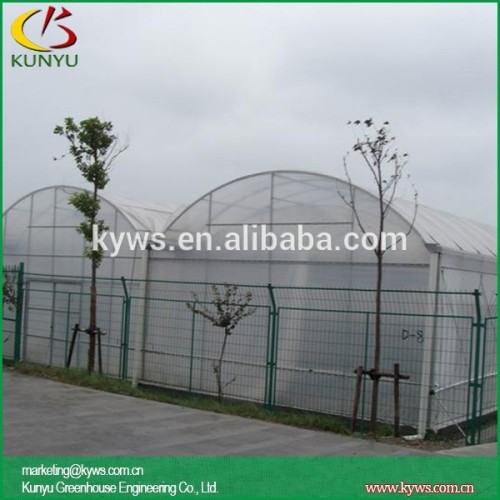 Arch roof type film greenhouse growing vegetables greenhouse clear greenhouse film for sale