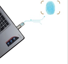 Factory Price Economic USB Fingerprint Encrypted Drive Flash Made in China for Sale
