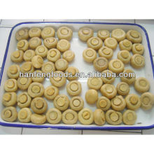 canned fresh button mushroom