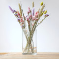 مزهرية زجاجية أسطوانية شفافة بسيطة