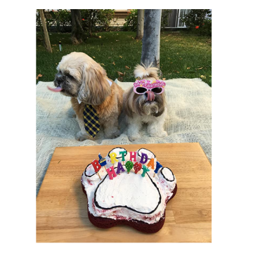 Panoramica della torta della zampa del cane in silicone 3D personalizzato