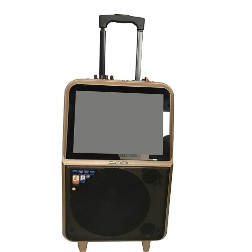 Bluetooth Karaoke Trolley Speaker