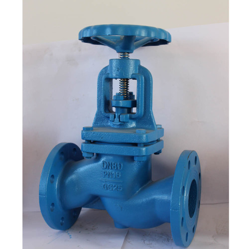 DIN Globe Valve PN16