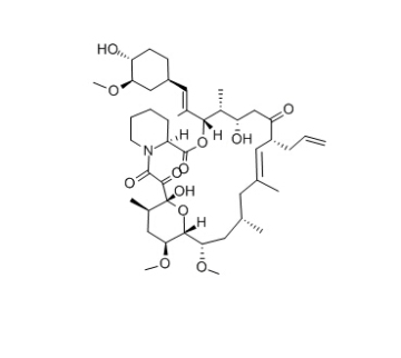 FKBP Inhibitor Tacrolimus (FK-506) 104987-11-3