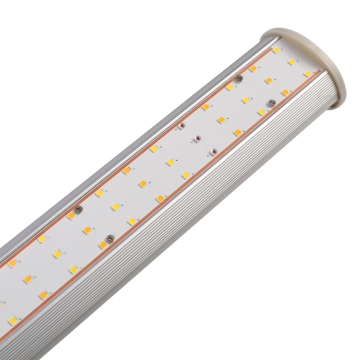 600w LED Grow Light Full Spectrum 3-års garanti