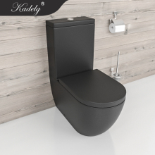 Black Mat Toilet Dual Flush Sanitary Ware
