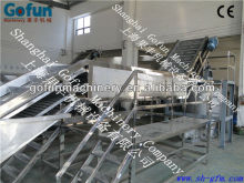 industrial Fruit washing and sorting system