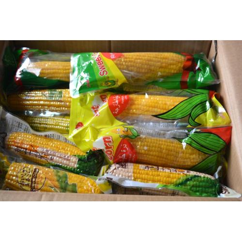 Maïs de fruits sucrés nouvelle récolte 2019
