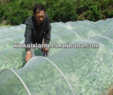 Vegetable greenhouse anti-insect screen mesh net