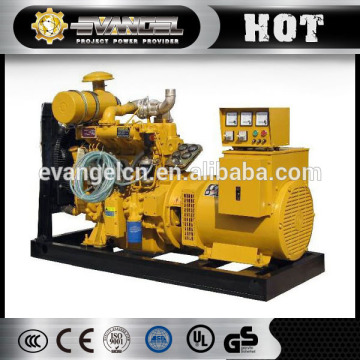 diesel Generator Set diesel generator fuel pump