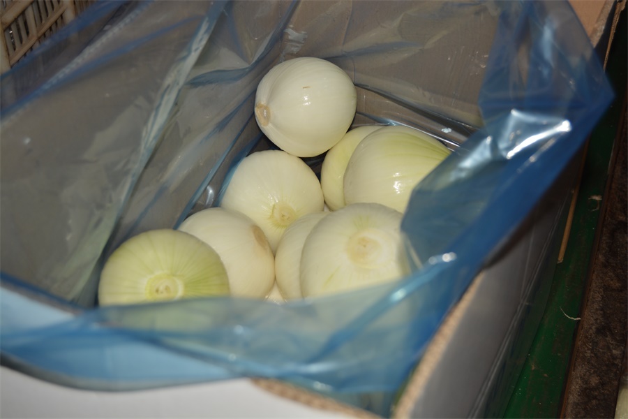 Fresh Peeled Onion