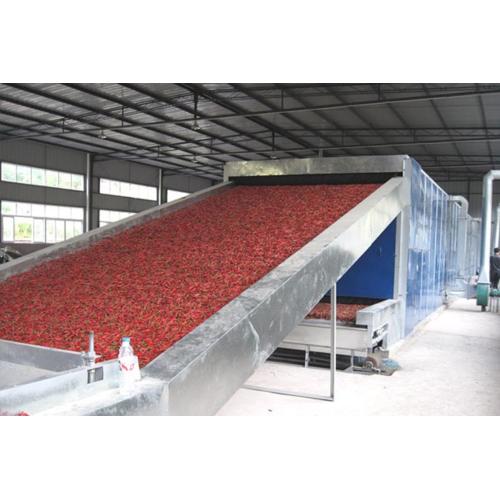 Hot Sale High Quality Wood Chip Mesh Belt Dryer/DW