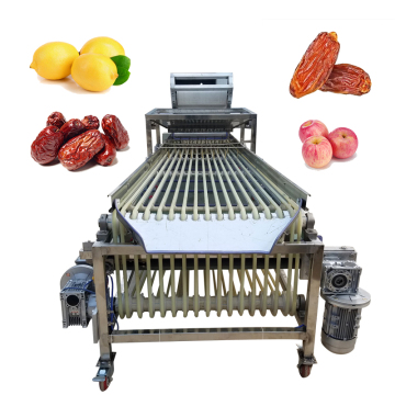Fruit and Date Grading Machine: Plums, Apples, Oranges, Medjool Dates, and Jujubes