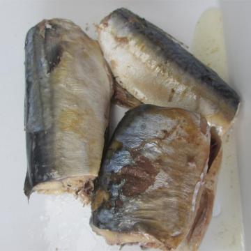 425g Canned Food Mackerel Fish in Oil