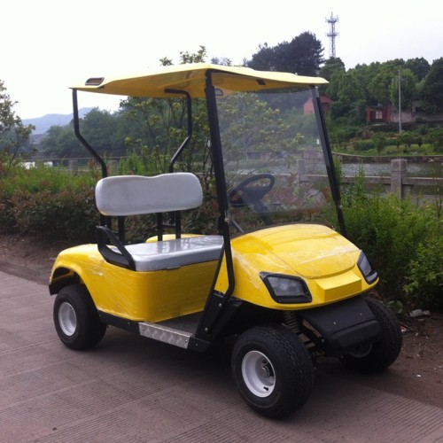 Carrello elettrico di golf del caricatore di impulso di 2 sedili