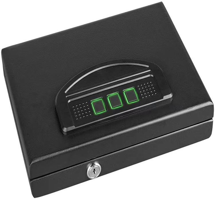 Biometric Pistol Safe