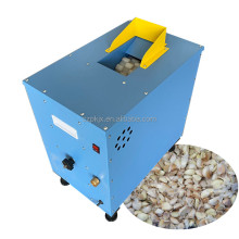 Garlic Cloves Divider Machine - Separator and Splitter