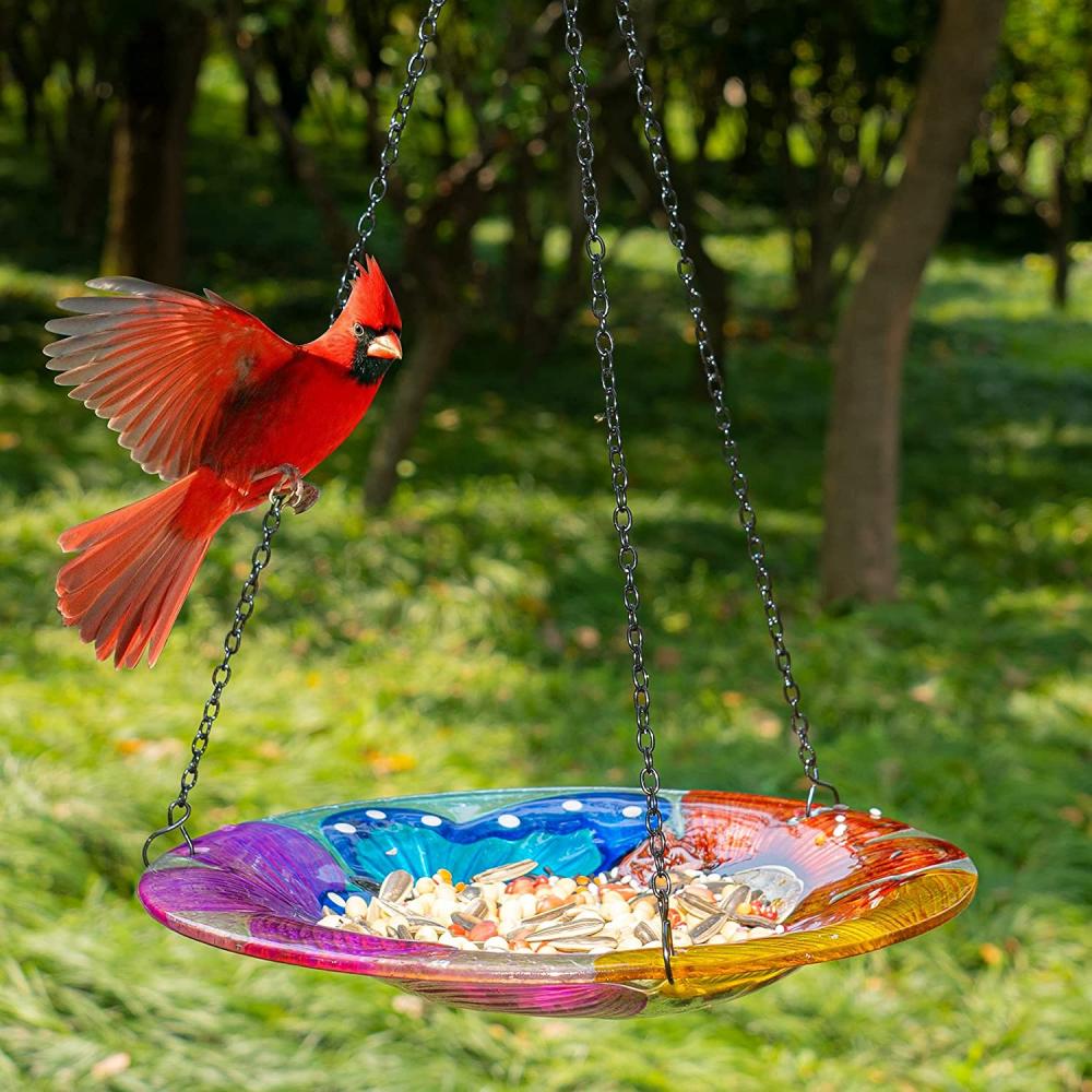 Hangende vogelvoeders en baden voor buiten