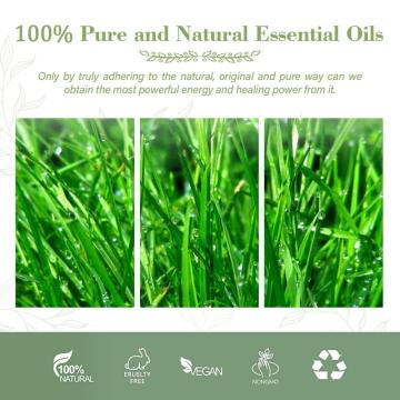 OEM Custom Package Best Price Natural Vetiver essential Oil Vetiver Oil