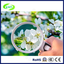 Transparent Mini Magnifier LED Light Magnifier Handheld Magnifier in High Quality