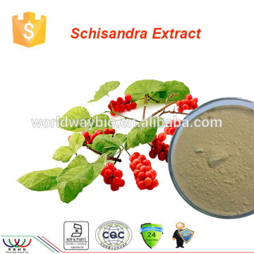Free sample ! Kosher FDA cGMP certified schisandra chinensis extract schisandrins