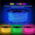 5050 RGB 300 LEDs Bande Lumineuse Changeante de Couleur