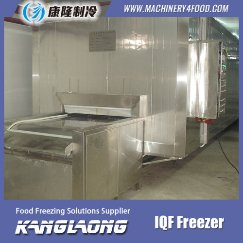 Large Output Quick Freezing Equipment