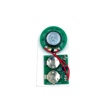 Sound Module with Light Sensor for Electronic Sound Devices in Gift Boxes
