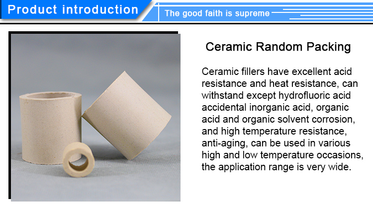 Ceramic raschig rings chemical random tower packing in petrochemical and environmental plants