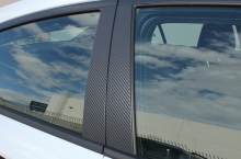 Smart Nice Carbon Fiber Dool Window Guard