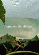 High quality Grape covers california