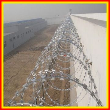 easy to install !!! safety defend razor barbed wire net on the wall