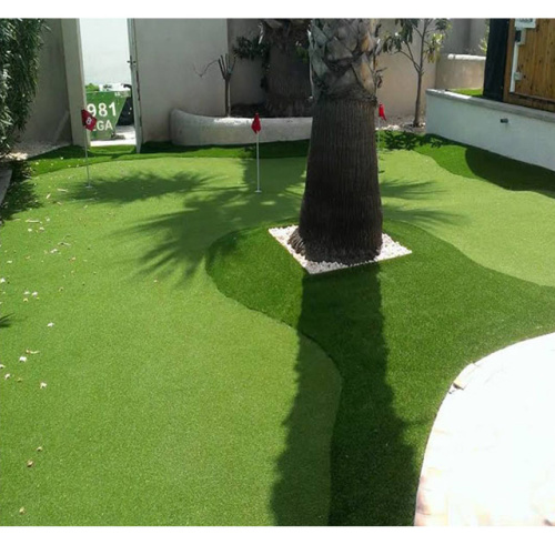 Carpet Grass Price for Golf Course