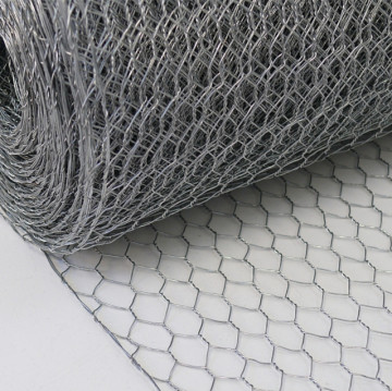 SS Hexagonal Wire Netting