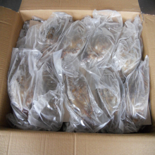 best service BLUE CRAB Sales Price fat Frozen Crab cut crab raw material block in stock