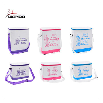 Ice packs the picnic bag