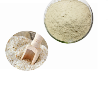 Supply Organic Psyllium Seed Husk Powder 95%