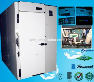 blast freezer/deep freezer/frozen machine