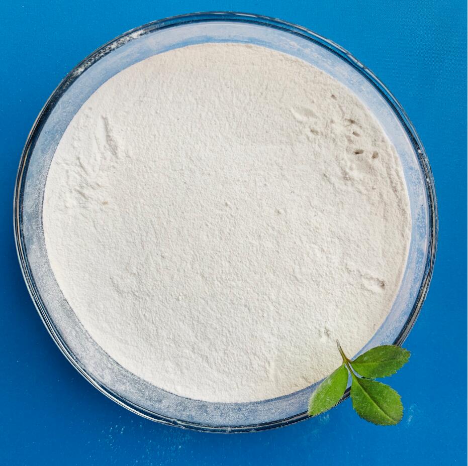 Feed additive DCP 18% white powder best price