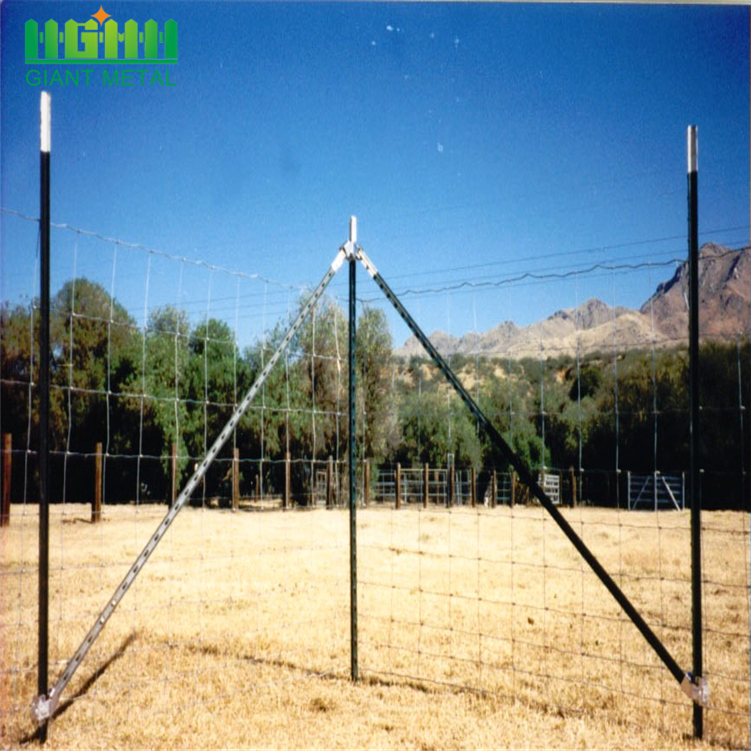 Cheap Vineyard T Fence Post Used For Sale