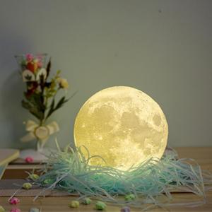 Moon Lamp 3D Printing