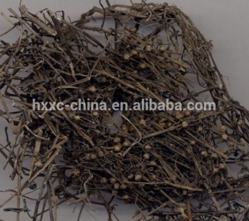 TCM Medicine---Hedyotis diffusa,Spreading Hedyotis Herb, Bai Hua She She Cao