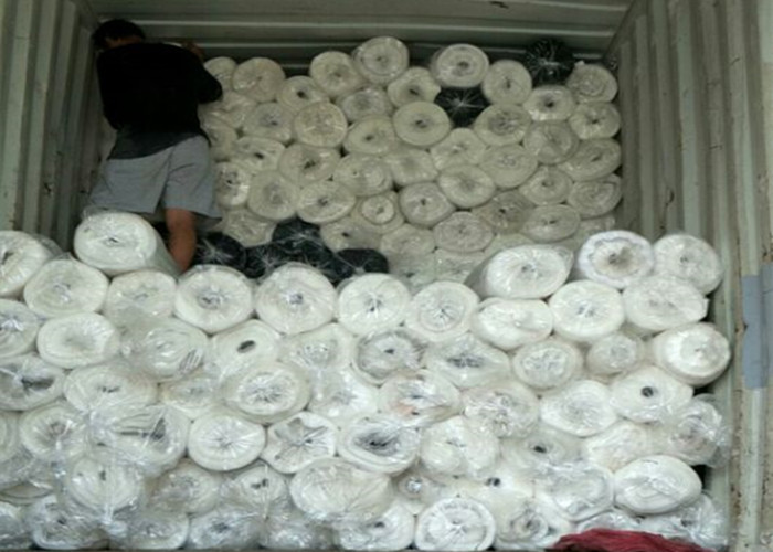 rede de insetos em rolls5 insect net in rolls5