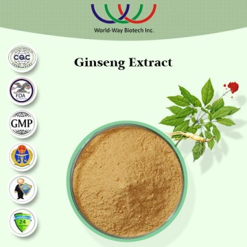 High quality ginseng roots powder for sale /ginseng extract / ginseng powder